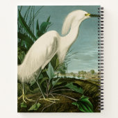 Audubon Snowy Heron White Gret Vogel Vogel Notitieboek (Achterkant)