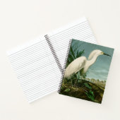 Audubon Snowy Heron White Gret Vogel Vogel Notitieboek (Binnen)