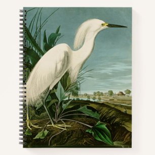 Audubon Snowy Heron White Gret Vogel Vogel Notitieboek