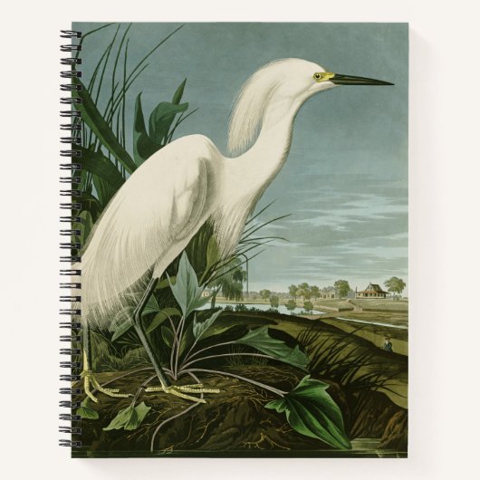Audubon Snowy Heron White Gret Vogel Vogel Notitieboek (Voorkant)