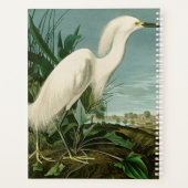 Audubon Snowy Heron White Gret Vogel Vogel Planner (Achterkant)