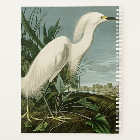 Audubon Snowy Heron White Gret Vogel Vogel Planner (Achterkant)