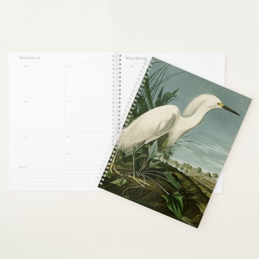 Audubon Snowy Heron White Gret Vogel Vogel Planner (Display)
