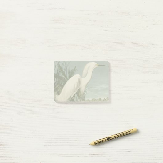 Audubon Snowy Heron White Gret Vogel Vogel Post-it® Notes (Op bureau)