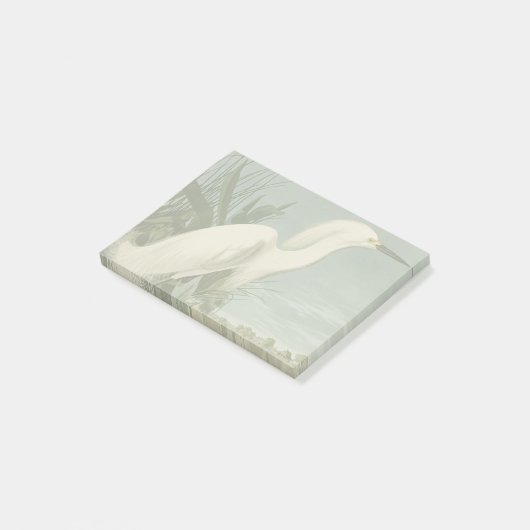 Audubon Snowy Heron White Gret Vogel Vogel Post-it® Notes (Schuin)