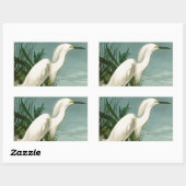 Audubon Snowy Heron White Gret Vogel Vogel Rechthoekige Sticker (Vel)