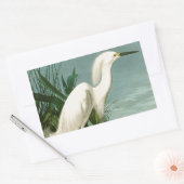 Audubon Snowy Heron White Gret Vogel Vogel Rechthoekige Sticker (Envelop)