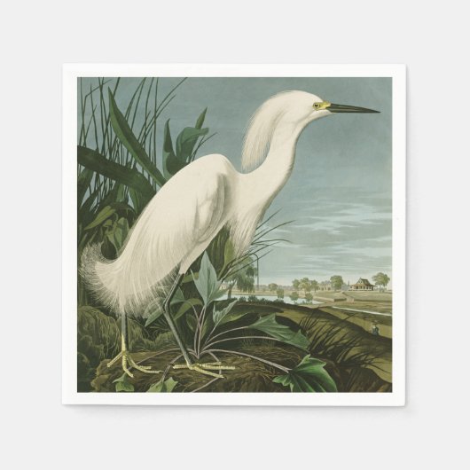 Audubon Snowy Heron White Gret Vogel Vogel Servet (Voorkant)