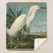 Audubon Snowy Heron White Gret Vogel Vogel Sherpa Deken (Voorkant)