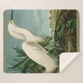 Audubon Snowy Heron White Gret Vogel Vogel Sherpa Deken (Voorkant (horizontaal))