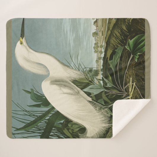 Audubon Snowy Heron White Gret Vogel Vogel Sherpa Deken (Voorkant (horizontaal))