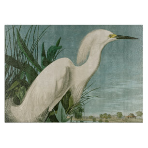 Audubon Snowy Heron White Gret Vogel Vogel Snijplank