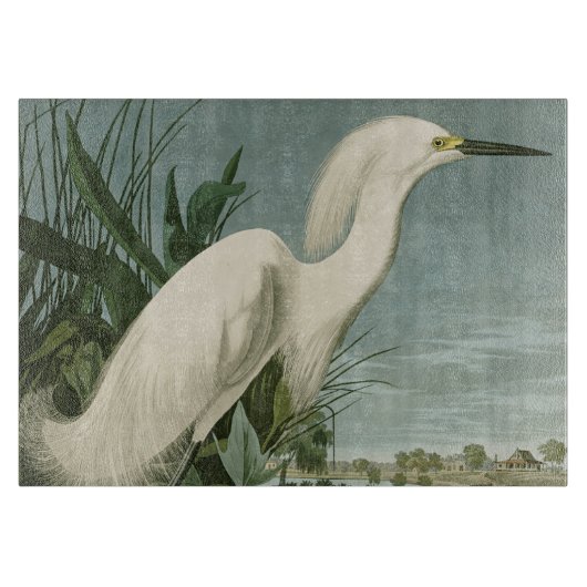 Audubon Snowy Heron White Gret Vogel Vogel Snijplank (Voorkant)