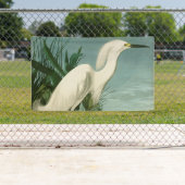 Audubon Snowy Heron White Gret Vogel Vogel Spandoek (Insitu)