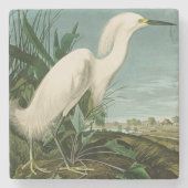 Audubon Snowy Heron White Gret Vogel Vogel Stenen Onderzetter (Voorkant)
