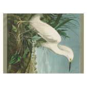 Audubon Snowy Heron White Gret Vogel Vogel Tafelkleed (Voorkant (Horizontaal))
