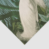 Audubon Snowy Heron White Gret Vogel Vogel Tissuepapier (Detail)