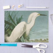 Audubon Snowy Heron White Gret Vogel Vogel Tissuepapier (Craft)