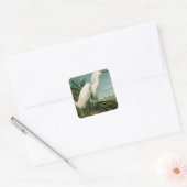 Audubon Snowy Heron White Gret Vogel Vogel Vierkante Sticker (Envelop)