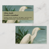 Audubon Snowy Heron White Gret Vogel Vogel Visitekaartje (Voorkant / Achterkant)