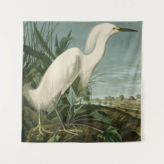 Audubon Snowy Heron White Gret Vogel Vogel Wandkleed (Voorkant)