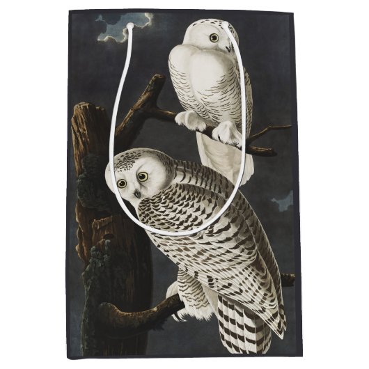Audubon Snowy Owl Bird Artwork Medium Cadeauzakje (Voorkant)
