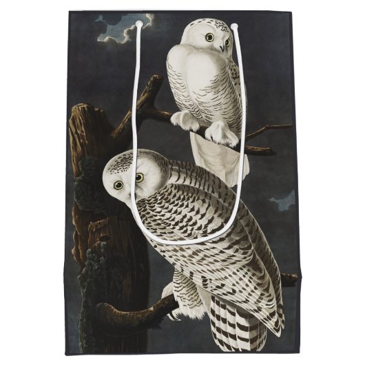 Audubon Snowy Owl Bird Artwork Medium Cadeauzakje (Achterkant)