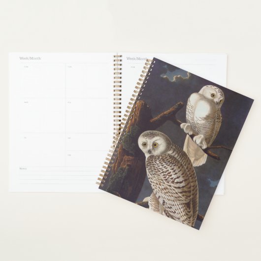 Audubon Snowy White Owls on a Dark Cloudy Night Planner (Display)