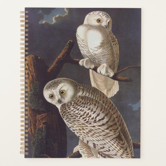 Audubon Snowy White Owls on a Dark Cloudy Night Planner (Voorkant)