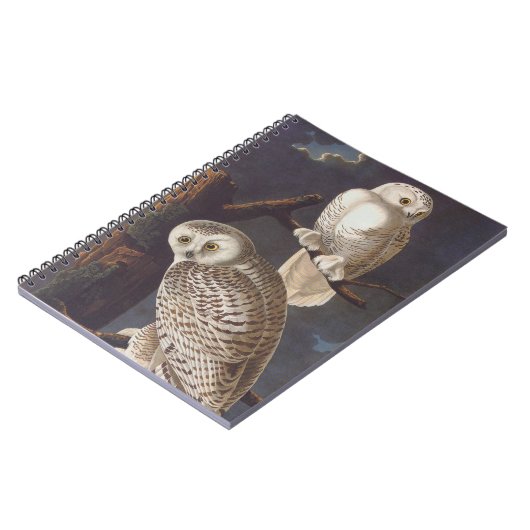 Audubon Snowy White Ownership on a Dark Cloudy Nig Notitieboek (Linkerzijde)