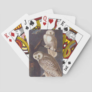 Audubon Snowy White Ownership on a Dark Cloudy Nig Pokerkaarten