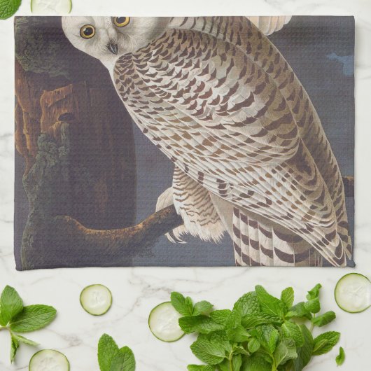 Audubon Snowy White Ownership on a Dark Cloudy Nig Theedoek (Gevouwen)