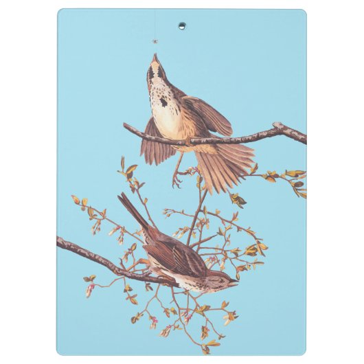 Audubon Song Sparrow beroemd gemaakt door Tiny Spi Klembord (Achterkant)