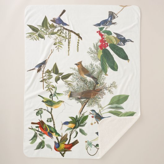 Audubon Songvogels Collage Sherpa Blanket Deken (Voorkant)