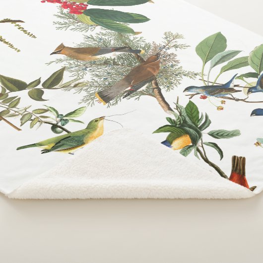 Audubon Songvogels Collage Sherpa Blanket Sherpa Deken (3/4)