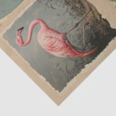 Audubon stijl Amerikaanse flamingo decoupage Tissuepapier (Detail)