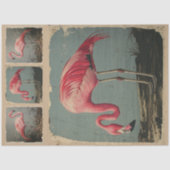 Audubon stijl Amerikaanse flamingo decoupage Tissuepapier (Voorkant)