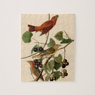 Audubon Summer Tanager Bird Painting Gift Legpuzzel