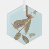 Audubon Swainson's Warbler Bird op Oak Branch Glas Ornament (Voorkant)