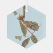 Audubon Swainson's Warbler Bird op Oak Branch Glas Ornament (Achterkant)