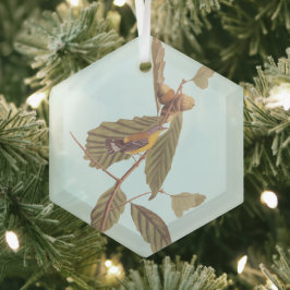 Audubon Swainson's Warbler Bird op Oak Branch Glas Ornament