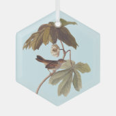 Audubon Swamp Sparrow Bird op Wild Mandrake Glas Ornament (Voorkant)