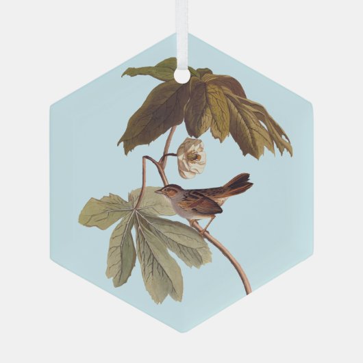 Audubon Swamp Sparrow Bird op Wild Mandrake Glas Ornament (Achterkant)