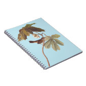 Audubon Swamp Sparrow Bird op Wild Mandrake Notitieboek (Rechterzijde)