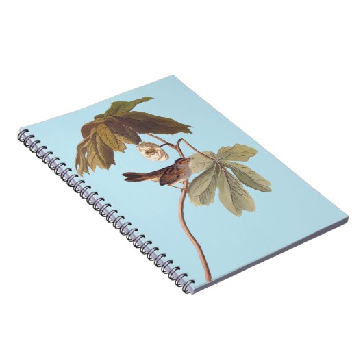 Audubon Swamp Sparrow Bird op Wild Mandrake Notitieboek (Rechterzijde)