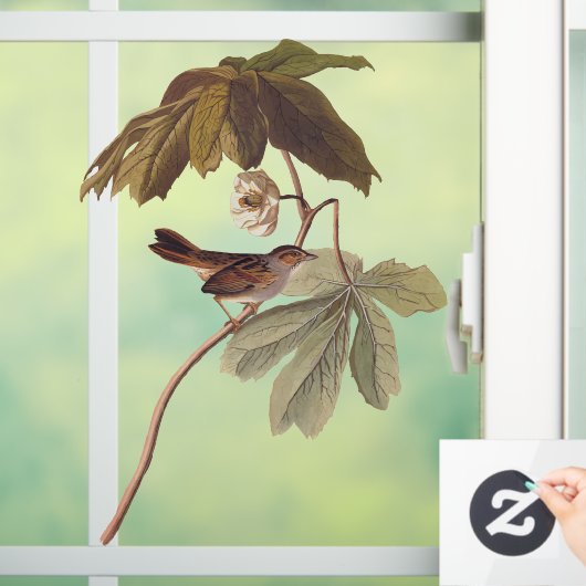 Audubon Swamp Sparrow Bird op Wild Mandrake Raamsticker (Huis)
