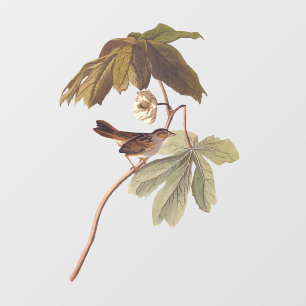 Audubon Swamp Sparrow Bird op Wild Mandrake Raamsticker