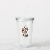 Audubon Traill's Flycatcher Songbird Acryl Drinkbeker (Achterkant)