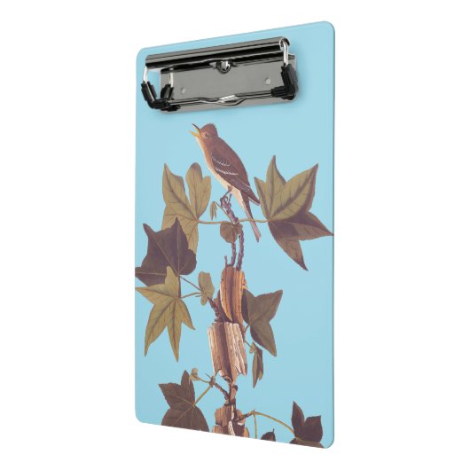Audubon Traill's Flycatcher Songbird Mini Klembord (Angled2)