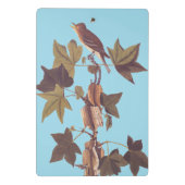 Audubon Traill's Flycatcher Songbird Mini Klembord (Achterkant)